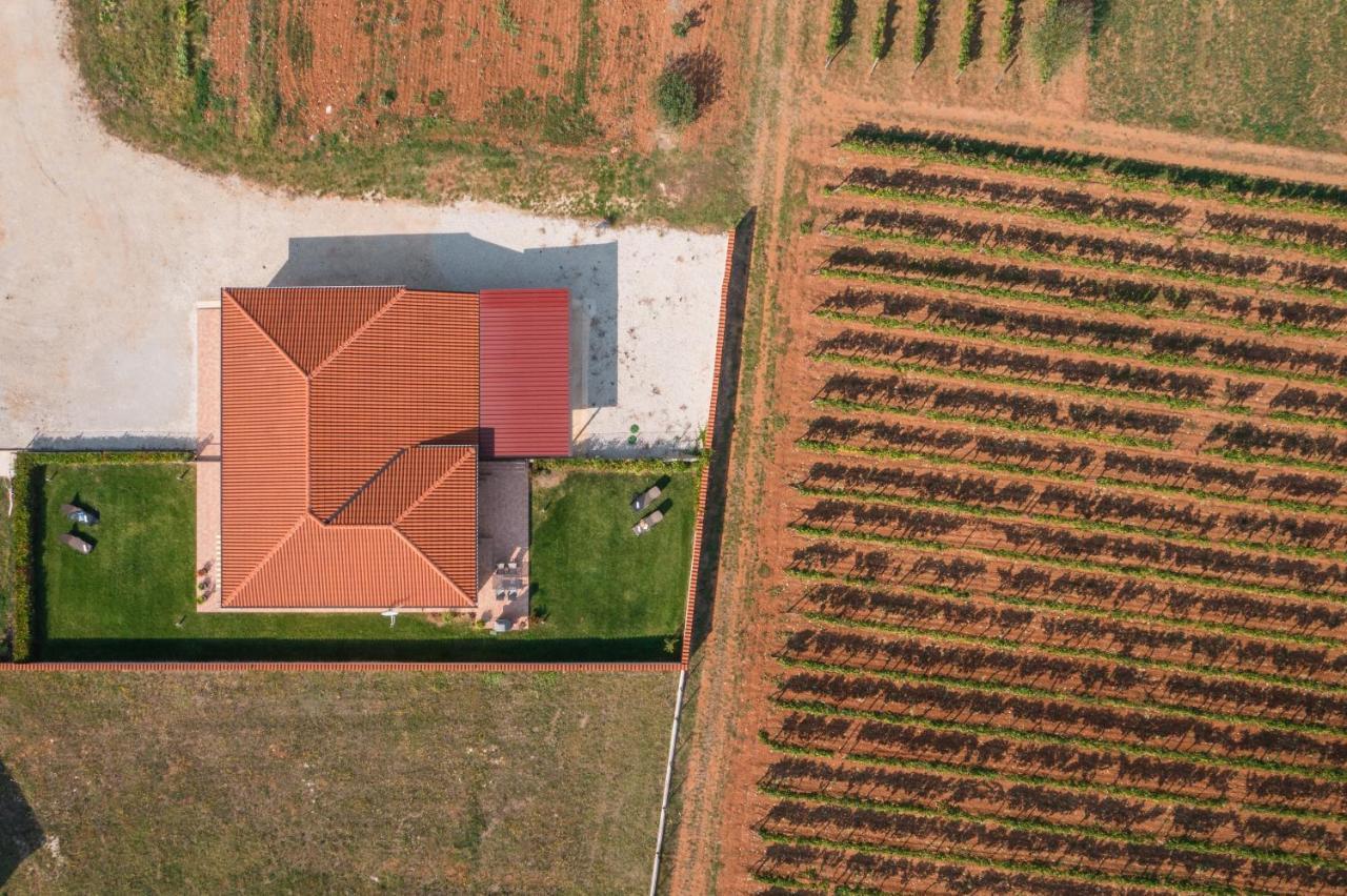 Villa Gracia Sveti Lovreč Pazenatički エクステリア 写真