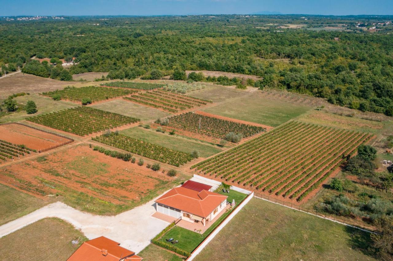 Villa Gracia Sveti Lovreč Pazenatički エクステリア 写真