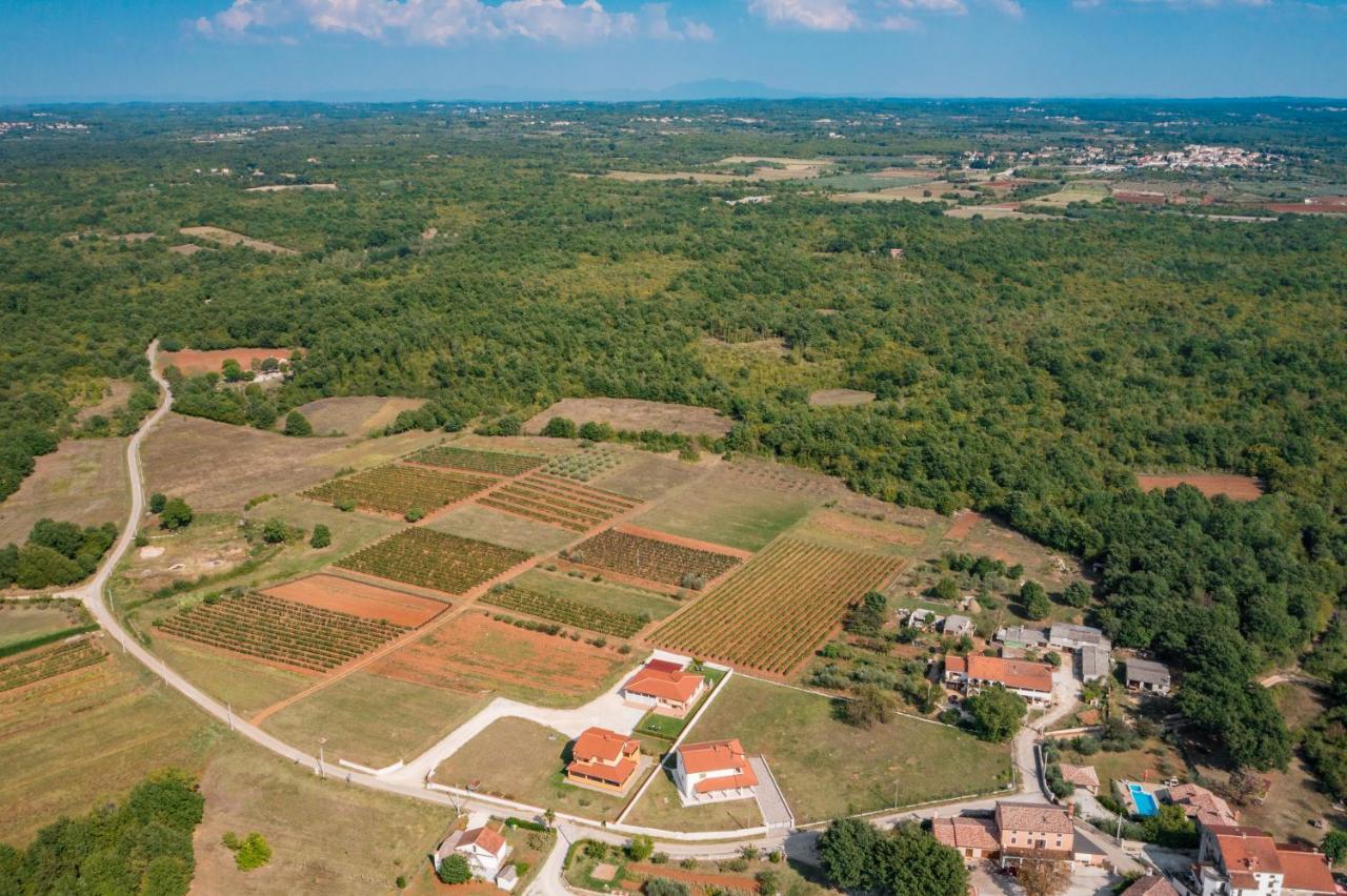 Villa Gracia Sveti Lovreč Pazenatički エクステリア 写真